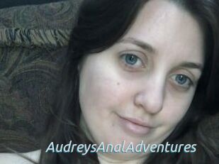 AudreysAnalAdventures