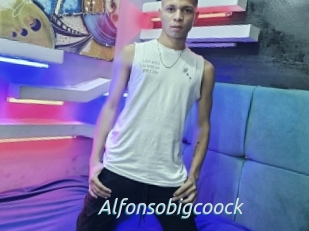 Alfonsobigcoock