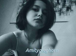 Amitygleghorn