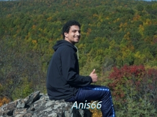 Anis66