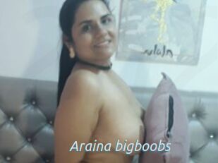 Araina_bigboobs