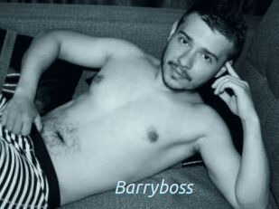 Barryboss