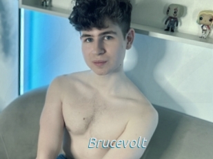 Brucevolt