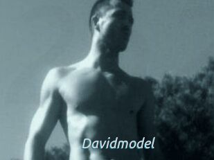 Davidmodel