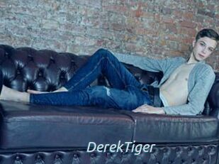 DerekTiger