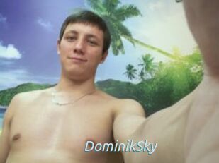 DominikSky