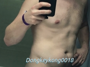 Dongkeykong0018