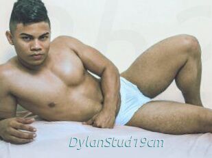 DylanStud19cm