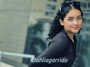 Dahliagarrido