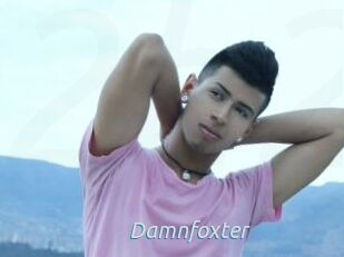 Damnfoxter