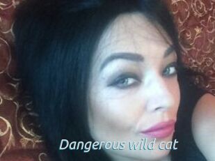 Dangerous_wild_cat