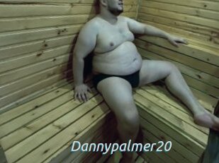 Dannypalmer20