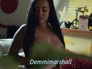 Demmimarshall