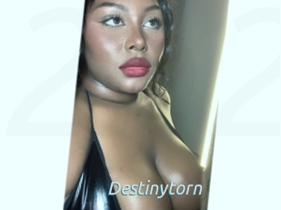 Destinytorn