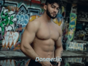 Donmerlin