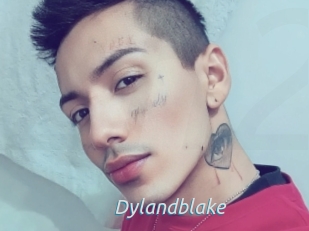 Dylandblake