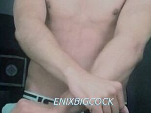 ENIXBIGCOCK