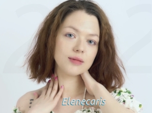 Elenecaris