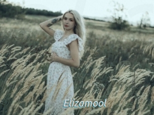 Elizamool