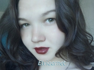 Elviaarnet