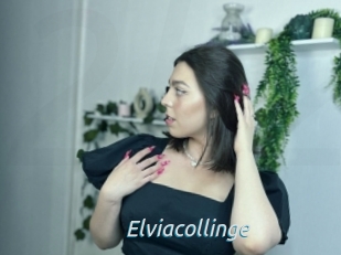 Elviacollinge