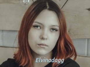 Elvinadagg