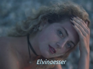 Elvinaesser