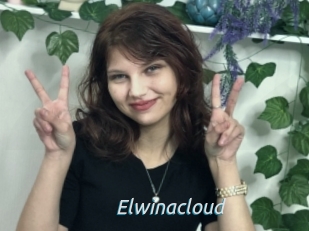 Elwinacloud