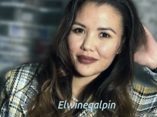 Elwinegalpin