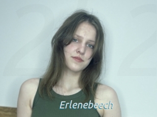 Erlenebeech