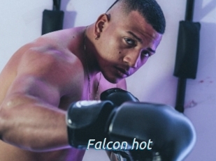 Falcon_hot