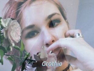 Grothia