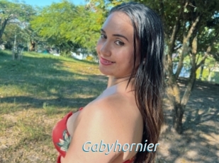 Gabyhornier