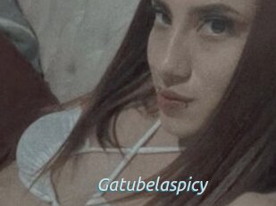 Gatubelaspicy