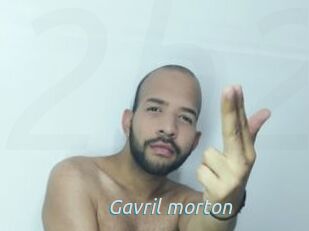 Gavril_morton