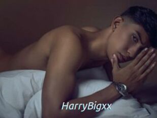 HarryBigxx