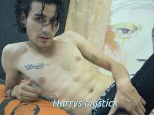 Harrys_bigstick