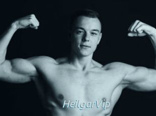 HeilgarVip