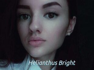 Helianthus_Bright