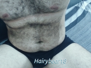 Hairybear18