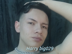 Harry_big029