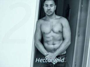 Hectorwild