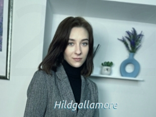 Hildgallamore