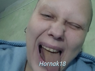 Hornak18