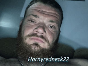 Hornyredneck22