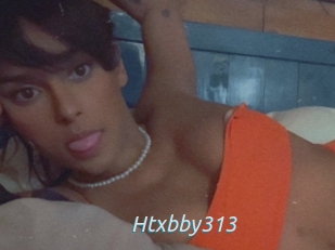 Htxbby313