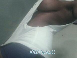 Kitt_The_Katt