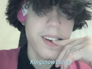 Kingsnowbunny