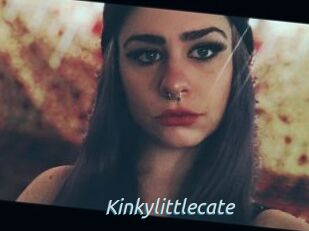 Kinkylittlecate