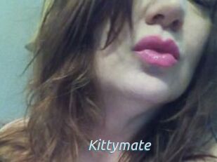 Kittymate